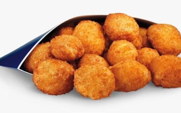 Culver's cheese curds nutrition information